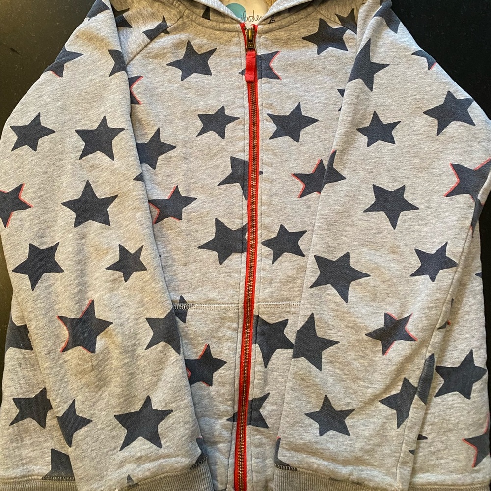 Mini Boden Shearling Lined Heavyweight Hoodie